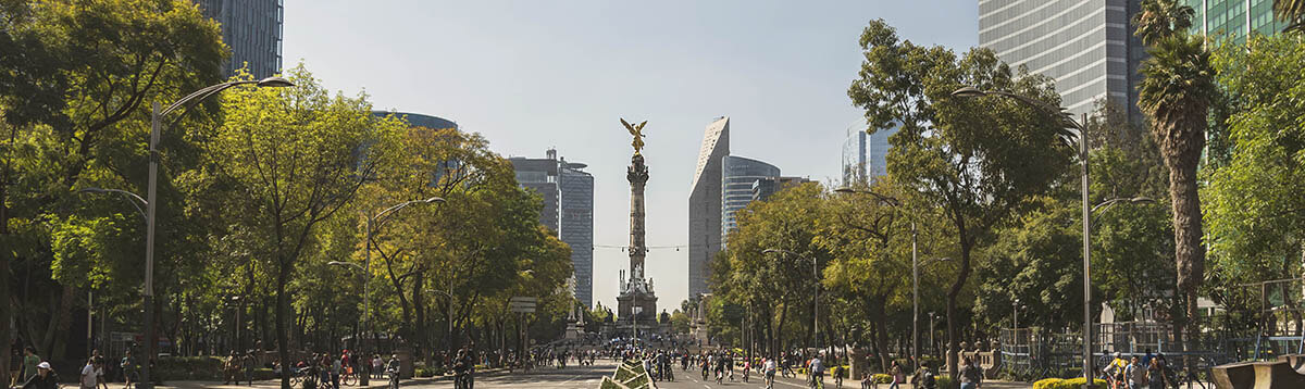 Oficina Ciudad de Mexico