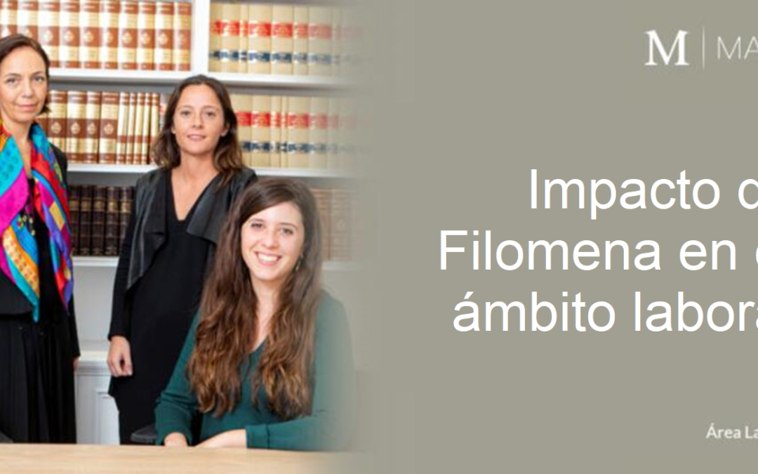 Impacto en el ámbito laboral de Filomena
