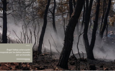 Ángel Vallejo aclara quién responde por los daños causados por un incendio