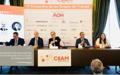 Ana Martínez Obradors participa en el IV Encuentro de los Grupos de Trabajo del CIIAM