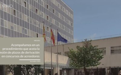 Acompañamos en un procedimiento que acota la suspensión de plazos de derivación tributaria en concursos de acreedores