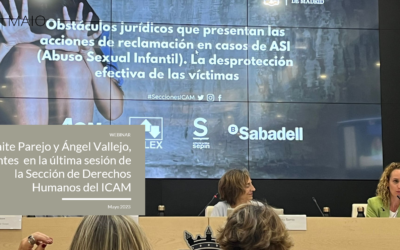 Maite Parejo y Ángel Vallejo, ponentes en la última jornada sobre Derechos Humanos del ICAM